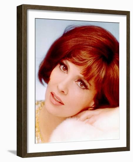 Gina Lollobrigida-null-Framed Photo