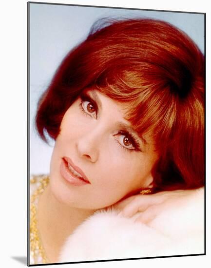 Gina Lollobrigida-null-Mounted Photo