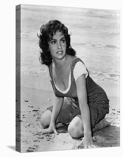 Gina Lollobrigida-null-Stretched Canvas