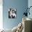 Gina Lollobrigida-null-Mounted Photo displayed on a wall