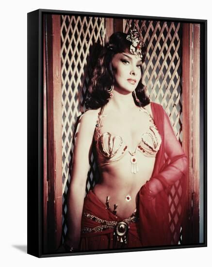 Gina Lollobrigida-null-Framed Stretched Canvas