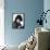 Gina Lollobrigida-null-Framed Stretched Canvas displayed on a wall