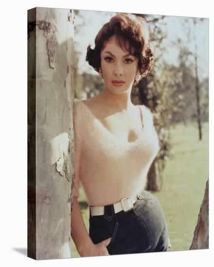 Gina Lollobrigida-null-Stretched Canvas