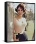 Gina Lollobrigida-null-Framed Stretched Canvas