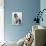 Gina Lollobrigida-null-Photo displayed on a wall