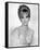 Gina Lollobrigida-null-Framed Stretched Canvas