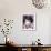 Gina Lollobrigida-null-Framed Photo displayed on a wall