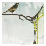 Chit, Chat, Chirp-Gina Miller-Art Print