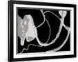 Gramercy Black