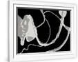 Gramercy White