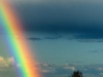 After Bad Weather and Rain Enjoys a Rainbow.-ginasanders-Photographic Print