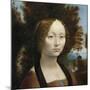 Ginevra de’ Benci, 1474-1478-Leonardo da Vinci-Mounted Premium Giclee Print