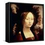 Ginevra de Benci, 1480-Leonardo da Vinci-Framed Stretched Canvas