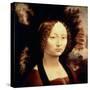 Ginevra de Benci, 1480-Leonardo da Vinci-Stretched Canvas