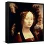 Ginevra de Benci, 1480-Leonardo da Vinci-Framed Stretched Canvas