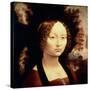 Ginevra de Benci, 1480-Leonardo da Vinci-Stretched Canvas