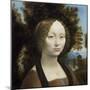 Ginevra de' Benci, by Leonardo da Vinci, c. 1474-78, Italian painting,-Leonardo da Vinci-Mounted Art Print