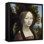 Ginevra de' Benci, by Leonardo da Vinci, c. 1474-78, Italian painting,-Leonardo da Vinci-Framed Stretched Canvas