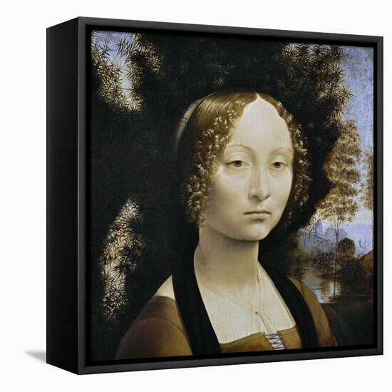 Ginevra De Benci, C. 1474-1478-Leonardo da Vinci-Framed Stretched Canvas