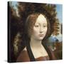 Ginevra De' Benci, C. 1474- 78-Leonardo da Vinci-Stretched Canvas