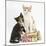 Ginger-And-White and Tortoiseshell Kittens on Birthday Parcels-Mark Taylor-Mounted Photographic Print