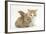 Ginger-And-White Kitten Baby Rabbit-Mark Taylor-Framed Photographic Print