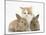 Ginger-And-White Kitten Baby Rabbits-Mark Taylor-Mounted Premium Photographic Print