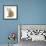 Ginger-And-White Kitten Looking over its Shoulder-Mark Taylor-Framed Photographic Print displayed on a wall