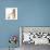 Ginger-And-White Kitten with Sandy Netherland Dwarf-Cross Rabbit-Mark Taylor-Photographic Print displayed on a wall