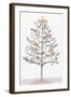 Ginger Bread Tree II-PI Studio-Framed Art Print