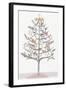 Ginger Bread Tree II-PI Studio-Framed Art Print