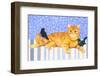 Ginger Cat and Blackbirds-Isabelle Brent-Framed Photographic Print