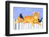 Ginger Cat and Blackbirds-Isabelle Brent-Framed Photographic Print