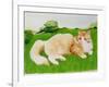 Ginger Cat in Field-Joan Freestone-Framed Giclee Print