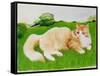 Ginger Cat in Field-Joan Freestone-Framed Stretched Canvas