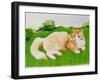 Ginger Cat in Field-Joan Freestone-Framed Giclee Print