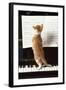 Ginger Cat Kitten on Piano-null-Framed Photographic Print