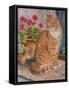 Ginger Cat on Doorstep-Janet Pidoux-Framed Stretched Canvas