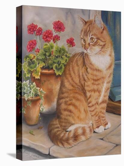 Ginger Cat on Doorstep-Janet Pidoux-Stretched Canvas