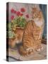 Ginger Cat on Doorstep-Janet Pidoux-Stretched Canvas