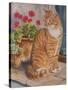 Ginger Cat on Doorstep-Janet Pidoux-Stretched Canvas