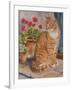 Ginger Cat on Doorstep-Janet Pidoux-Framed Giclee Print