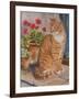 Ginger Cat on Doorstep-Janet Pidoux-Framed Giclee Print