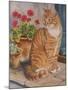 Ginger Cat on Doorstep-Janet Pidoux-Mounted Giclee Print