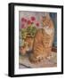 Ginger Cat on Doorstep-Janet Pidoux-Framed Giclee Print