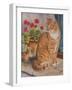 Ginger Cat on Doorstep-Janet Pidoux-Framed Giclee Print