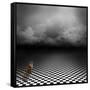 Ginger Cat Sitting In Empty, Dark, Psychedelic Image With Black And White Checker Floor-IngaLinder-Framed Stretched Canvas