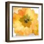 Ginger Gold I-Sandra Jacobs-Framed Art Print