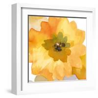 Ginger Gold I-Sandra Jacobs-Framed Art Print