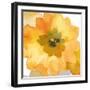 Ginger Gold I-Sandra Jacobs-Framed Giclee Print